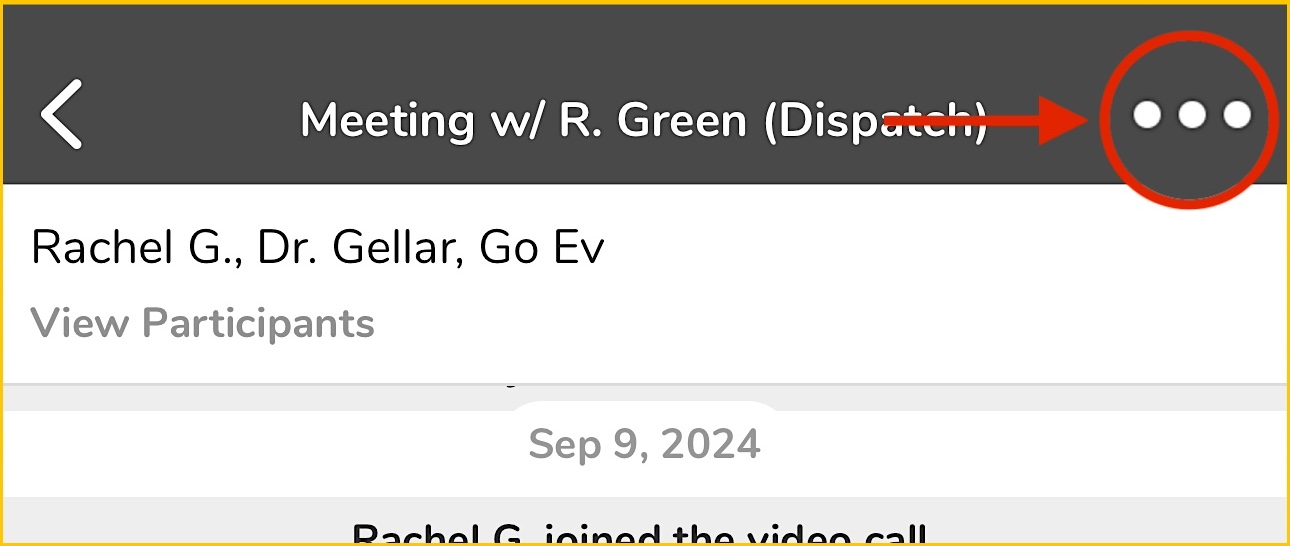 Screenshot 2024-09-10 at 1.48.21 PM copy.jpeg